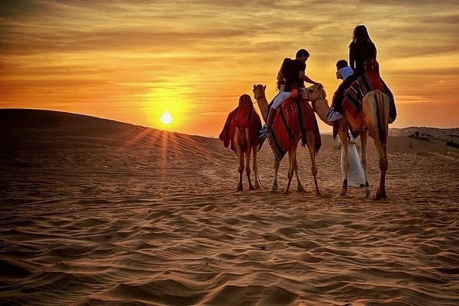 Dubai Desert Safari With BBQ, Quad Bike And Camel Ride - Who should book this Dubai desert safari