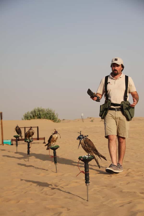 Dubai Desert Safari with Burj Khalifa (Ticket Only) - Belly dance and tannora performances