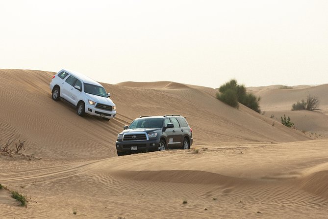 Dubai Desert Safari with Quads, BBQ Dinner, Camel ride, & Shows - Quad biking across the sand