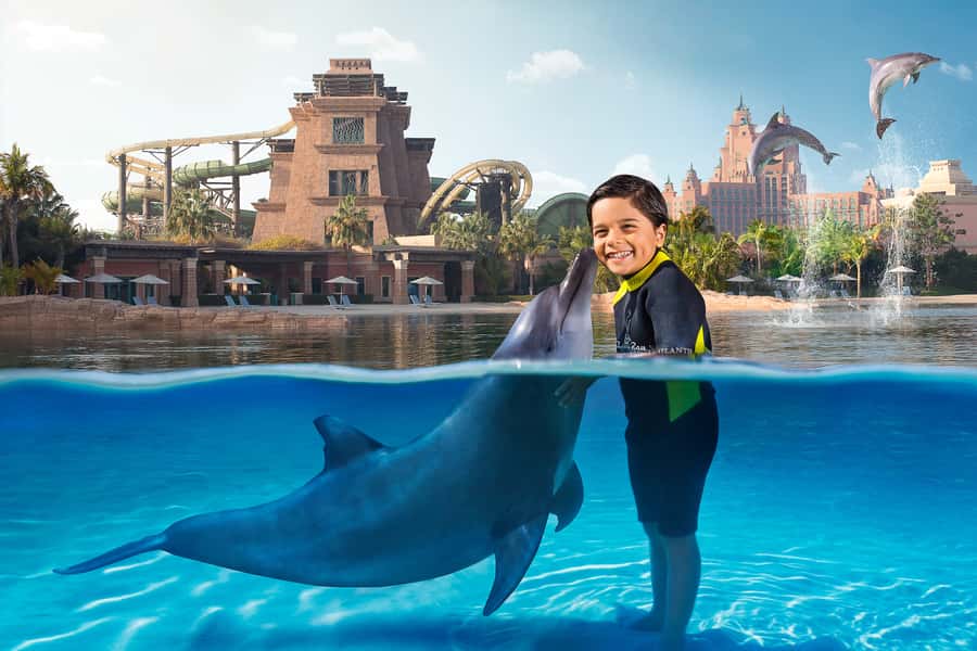 Dubai: Dolphin Encounter & Aquaventure Waterpark Ticket - What the dolphin session feels like in practice