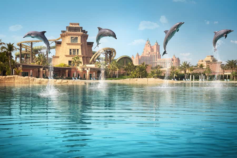 Dubai: Dolphin Encounter & Aquaventure Waterpark Ticket - Who should book this experience?