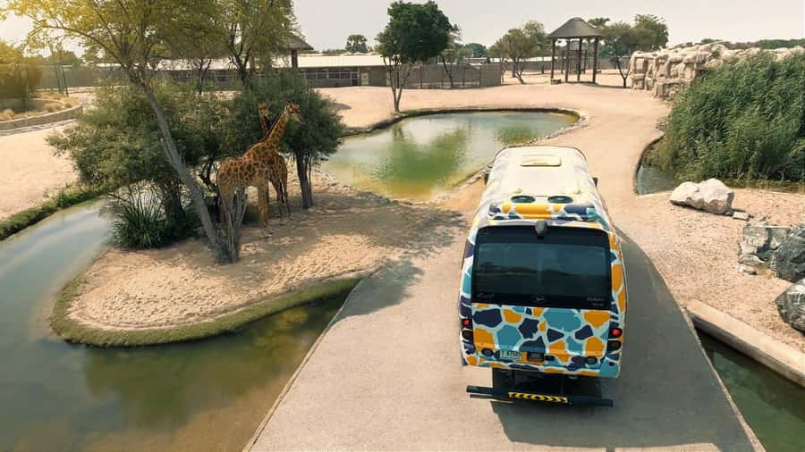 Dubai: Dubai Safari Park Entry Pass - Kids Farm and the Grand Aviary