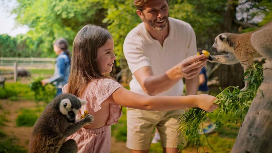 Dubai: Dubai Safari Park Entry Pass - Heat, shade, food, and practical comfort