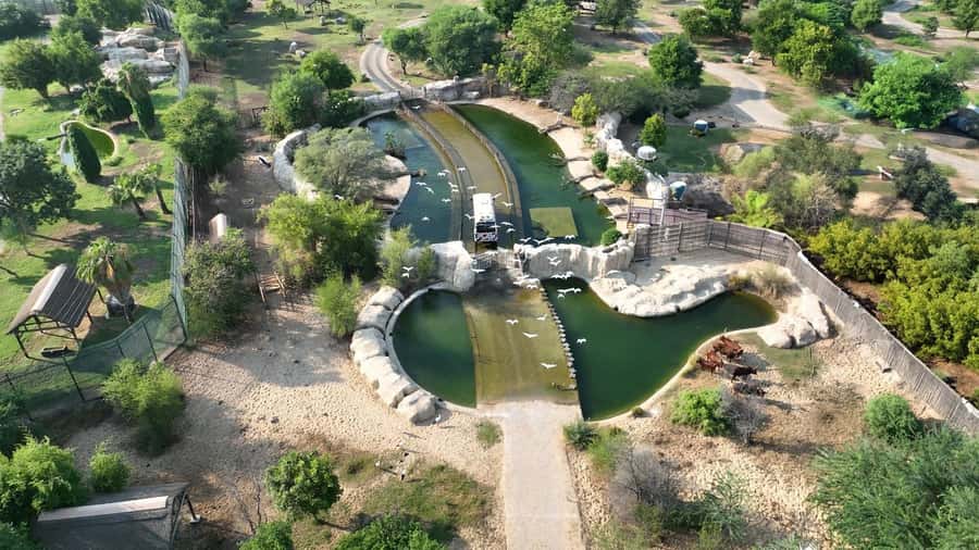 Dubai: Dubai Safari Park Entry Pass - How to plan your day without missing the best parts