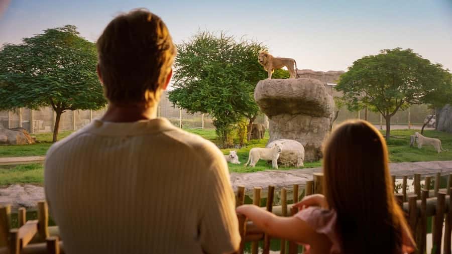 Dubai: Dubai Safari Park Entry Pass - What makes the park good for families