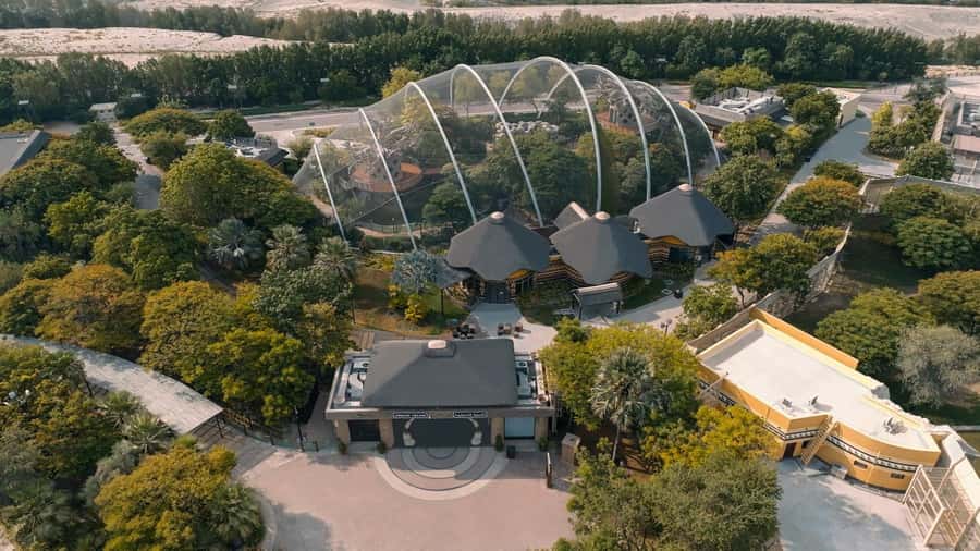 Dubai: Dubai Safari Park Entry Pass - The African Village: big animals and open views