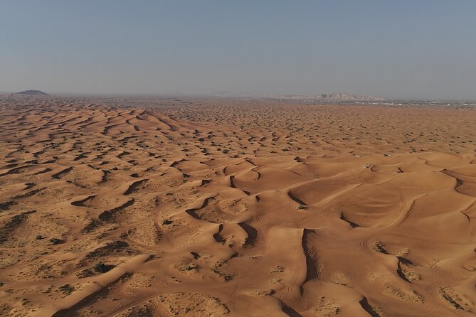 Dubai: Dune Buggy Safari and Camel Ride with Transportation - One hour among Dubai’s red dunes