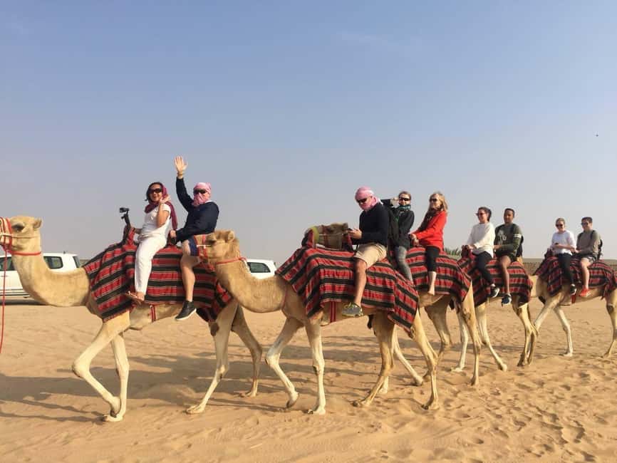 Dubai: Dune Quad Drive, Camels And Sand Boarding - The main strengths and weak spots