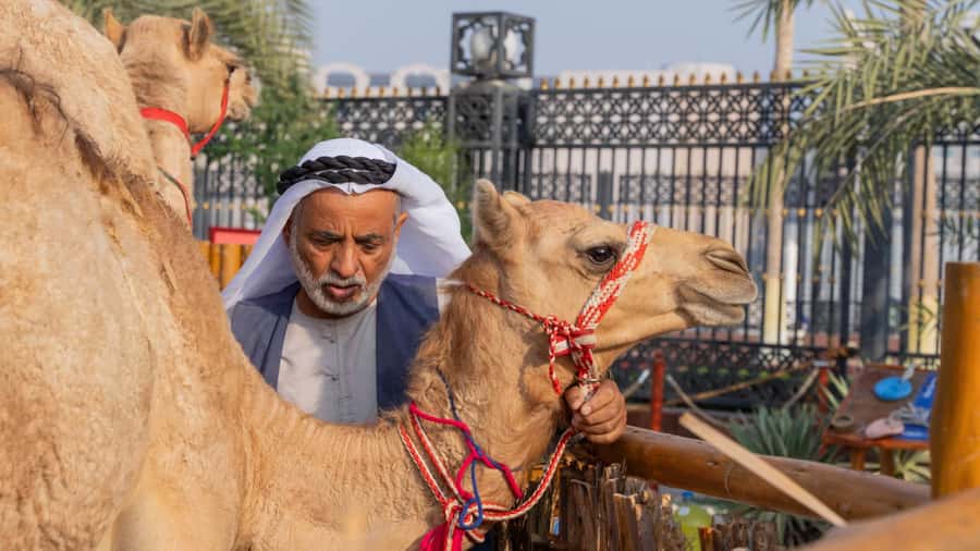 Dubai: Emirati Cultural Experience with Emirati Meal - Key points to know before booking
