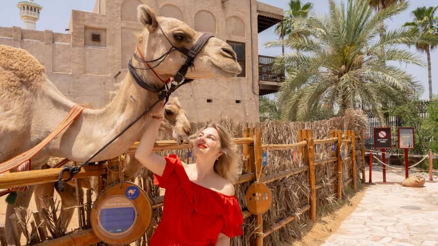Dubai: Emirati Cultural Experience with Emirati Meal - The Heritage House question-and-answer session