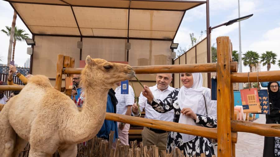 Dubai: Emirati Cultural Experience with Emirati Meal - What the $71 price includes