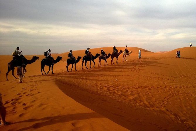 Dubai Evening 4x4 Desert Safari ATV Bike ,Camel Ride , BBQ Dinner - Four shows after dark