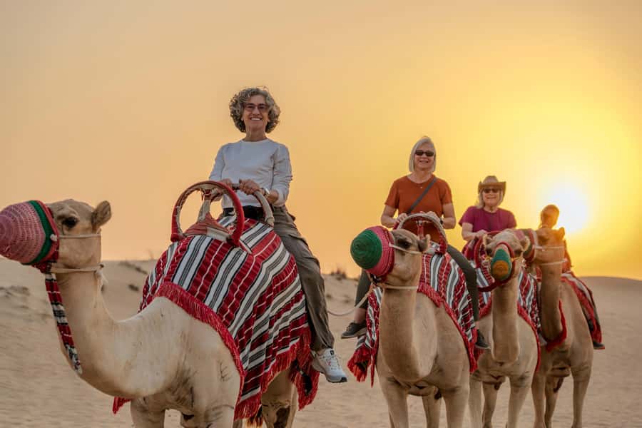 Dubai: Evening Camel Trekking & Dinner at Al Marmoom Oasis - The hotel pickup and ride into the reserve