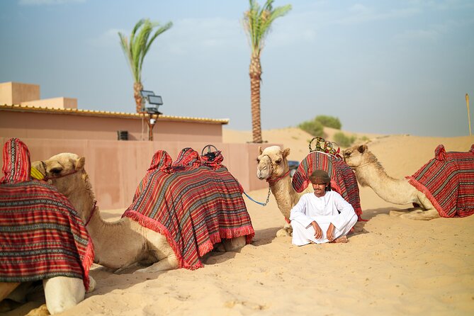 Dubai Evening Desert Safari BBQ Dinner & Transfer to Noble Camp - Tea, camels, and the first look at Noble Camp