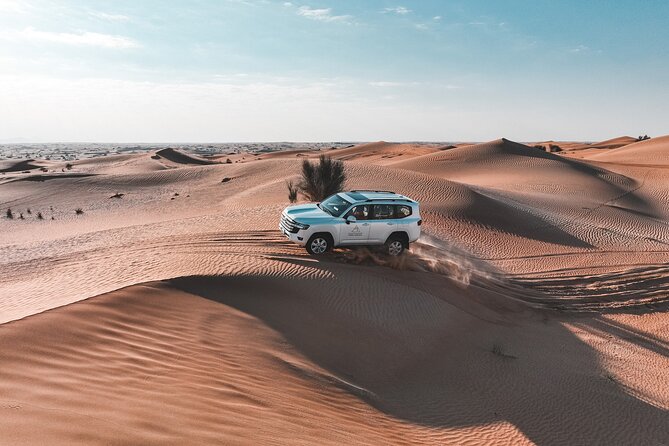 Dubai Evening Desert Safari: Sandboarding, BBQ, Camel Ride & more - Camel riding and sandboarding