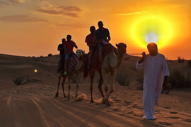 Dubai Evening Desert Safari With BBQ Dinner at Arabian Heritage - Key points to know before booking