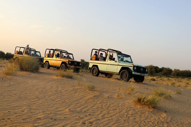 Dubai Evening Heritage Safari by Vintage G Class Al Marmoom Oasis - A 30 to 40-minute drive through the desert
