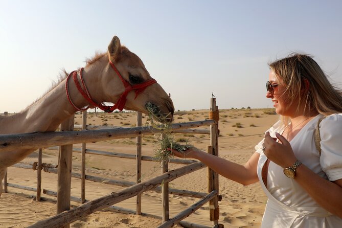 Dubai Evening Heritage Safari by Vintage G Class Al Marmoom Oasis - Sunset photographs and a Bedouin dinner