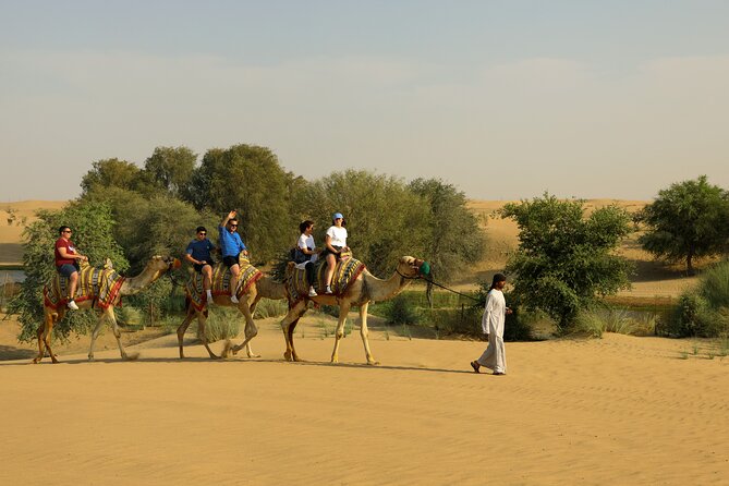 Dubai Evening Heritage Safari by Vintage G Class Al Marmoom Oasis - Stargazing is the quietest finish