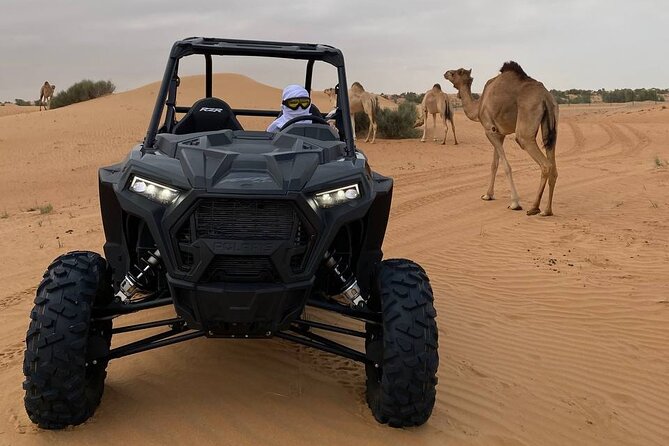 Dubai: Extreme Red Dune Buggy Desert Safari Adventure - Age rules and practical limits