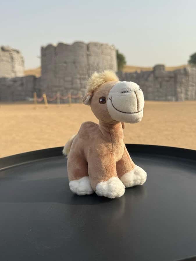 Dubai Fort Lisaili Desert: Quad, Buggy Ride & Free Souvenir - Choosing between quad bikes, buggies, and safari