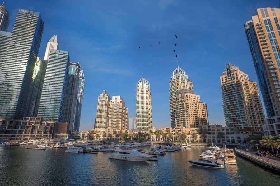 Dubai Full-Day Tour: Mosque, Souks, Burj Khalifa photo stop - From Jumeirah Mosque to old Dubai in one morning