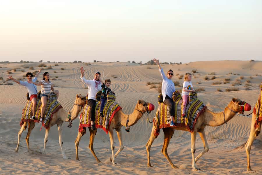 Dubai: Half-Day Camel Trekking with Al Marmoom Breakfast - Falcon photos and Arabic dress
