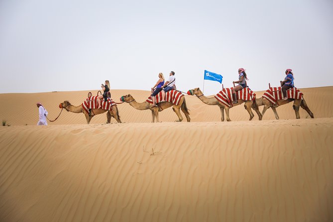 Dubai: Half-Day Desert Safari, Camels, Quad Bike & Refreshments - The camel ride: short, traditional, and simple
