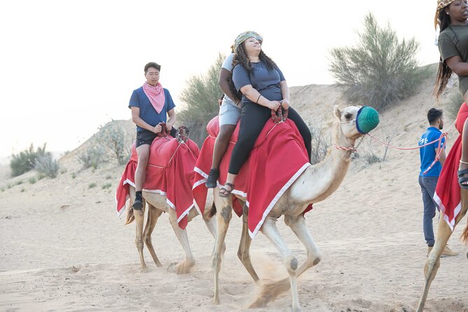Dubai Half-day Red Dunes bashing with Sandboarding, Camel &Falcon - Reaching Lahbab’s red dunes