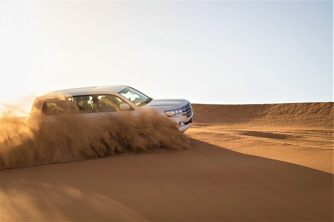 Dubai Half-day Red Dunes bashing with Sandboarding, Camel &Falcon - What the $34.89 price really covers