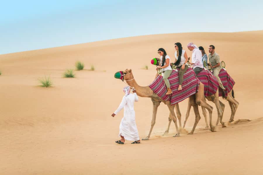 Dubai: Heritage Camel Desert Safari with Traditional Dinner - Falconry at sunset