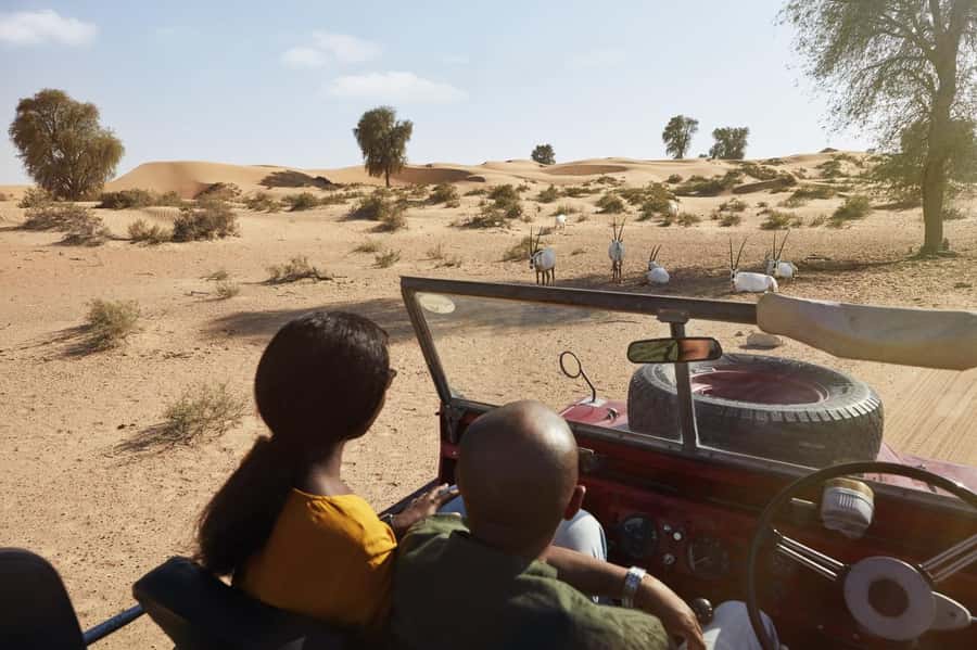 Dubai: Heritage Safari in Vintage Land Rover with Dinner - Drumming, Yola, and a night under the stars