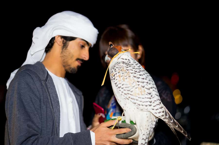 Dubai: Hot Air Balloon, Camel Ride, Desert Safari & More - Camel riding, falconry, and a Bedouin-style breakfast