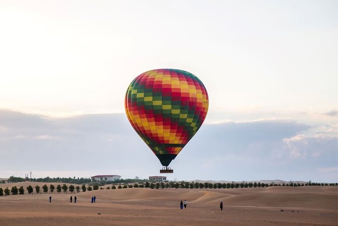 Dubai Hot Air Balloon Ride with Breakfast, Falconry & Camel Ride - Camel, falcon, and breakfast at the desert camp