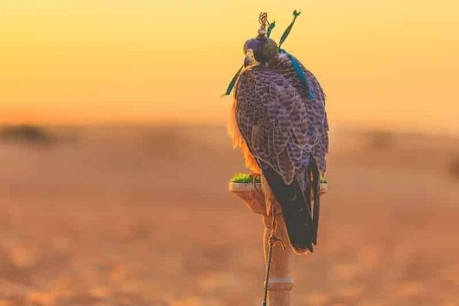 Dubai Hot Air Balloon Sunrise Sightseeing Ride - Watching the balloon take shape