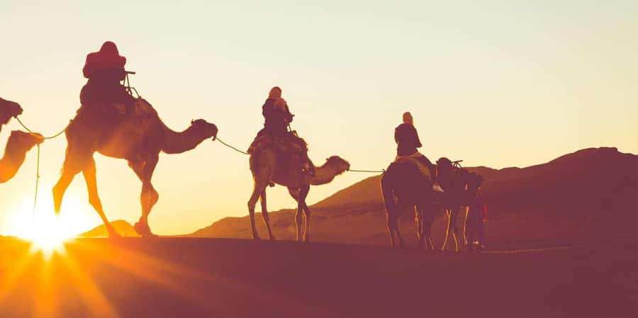 Dubai: Hot Air Balloon with Camel, ATV, & Horse Ride Options - Key points before you book