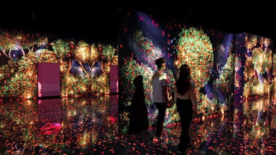 Dubai: iVenture Card Dubai Flexi Attractions Pass - Price, savings, and the fine print