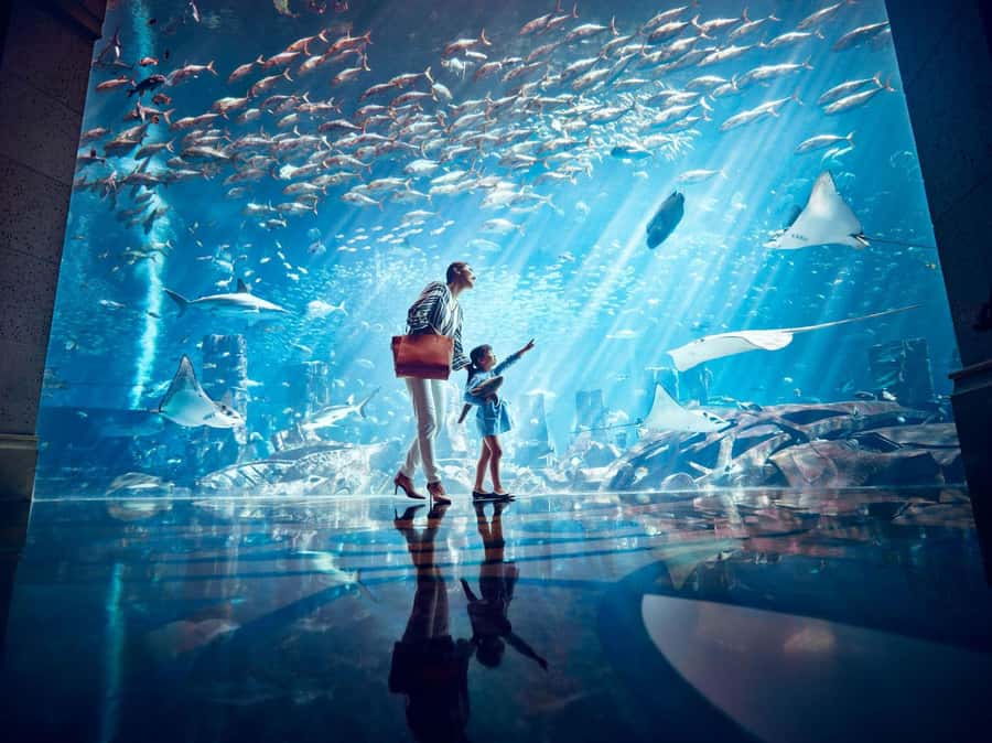 Dubai: Lost Chambers Aquarium Entry Ticket - Key points to know before you go