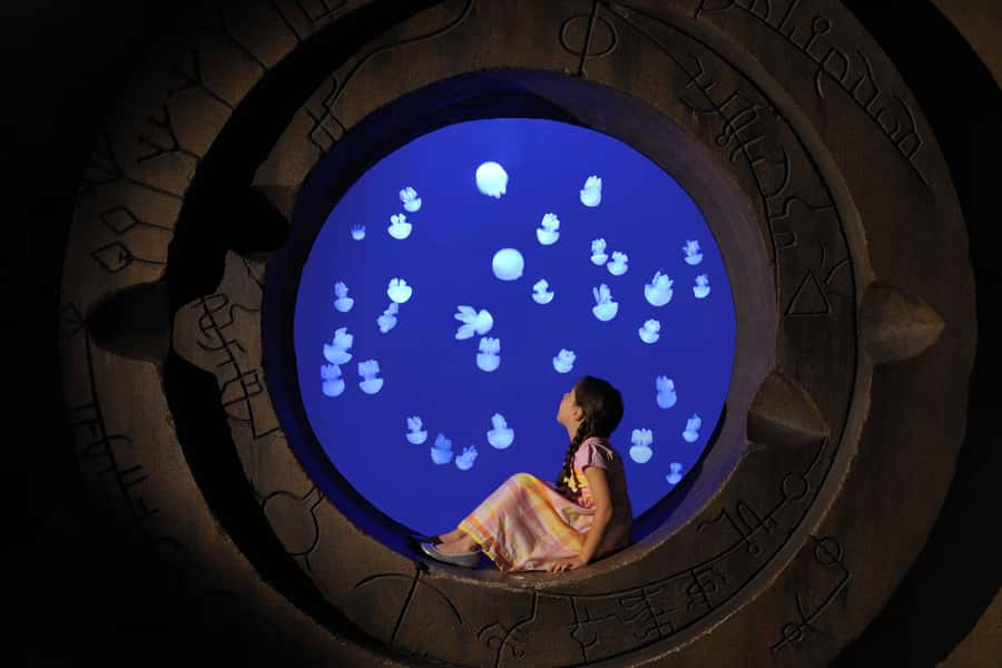 Dubai: Lost Chambers Aquarium Entry Ticket - Entering Atlantis through the Lost Chambers