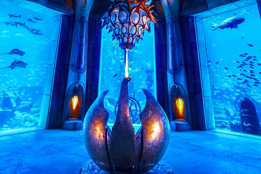 Dubai: Lost Chambers Aquarium Entry Ticket - Who should book the Lost Chambers Aquarium?