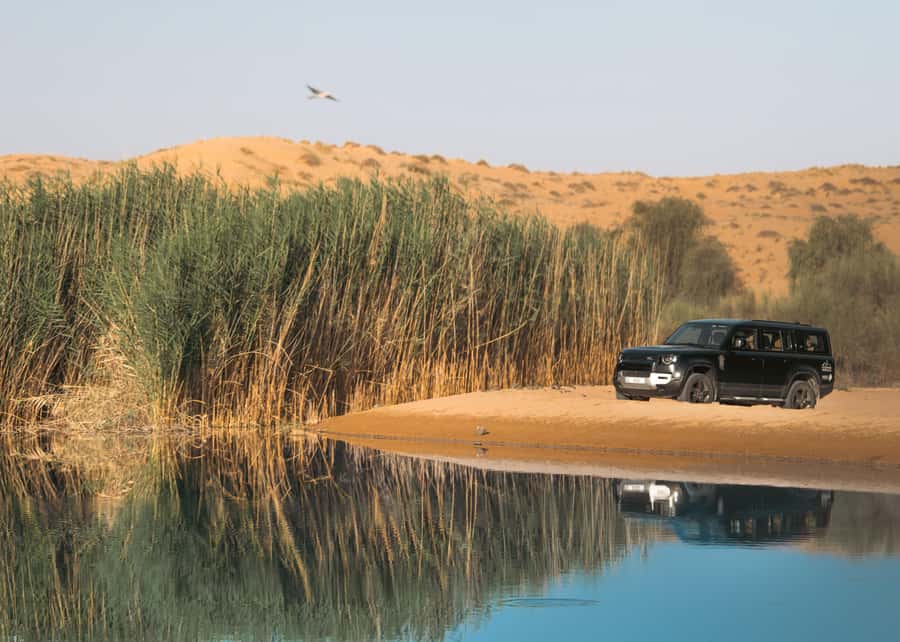 Dubai: Luxury Safari with Michelin-Curated 5-Course Dinner - The Afternoon Pickup and Ride Into the Reserve