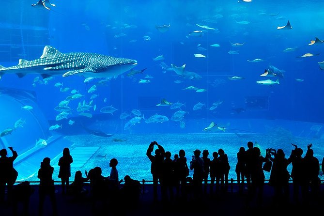 Dubai Mall Aquarium & Underwater Zoo with Penguin Cove Tickets - The main attraction is a giant tank in the middle of Dubai Mall