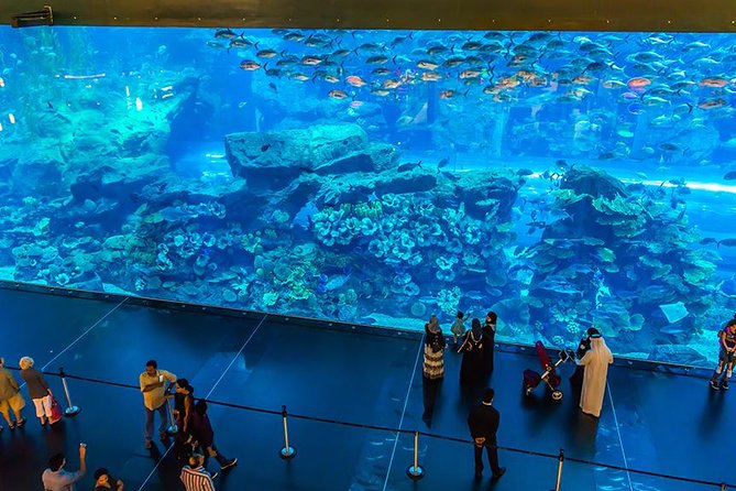 Dubai Mall Aquarium & Underwater Zoo with Penguin Cove Tickets - Penguin Cove is a useful extra, but check what your ticket covers