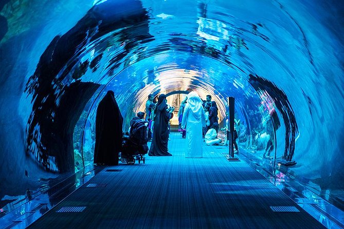Dubai Mall Aquarium & Underwater Zoo with Penguin Cove Tickets - What the $54.52 price really buys you