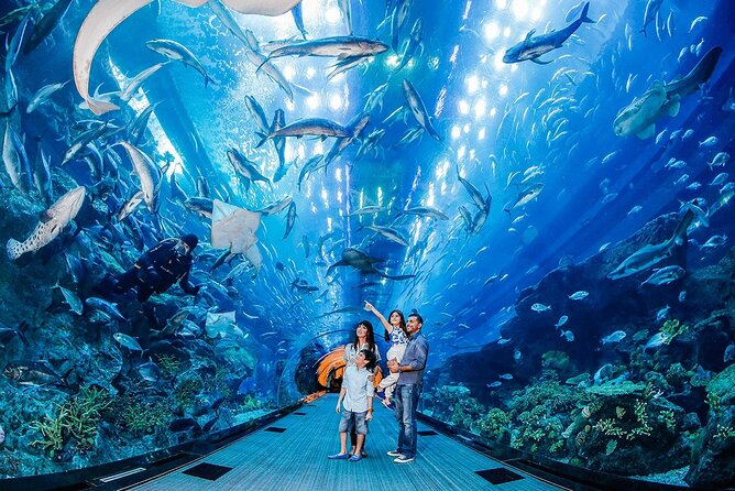 Dubai Mall Aquarium with Penguin Cove + Skyview Ticket - A double attraction day in central Dubai