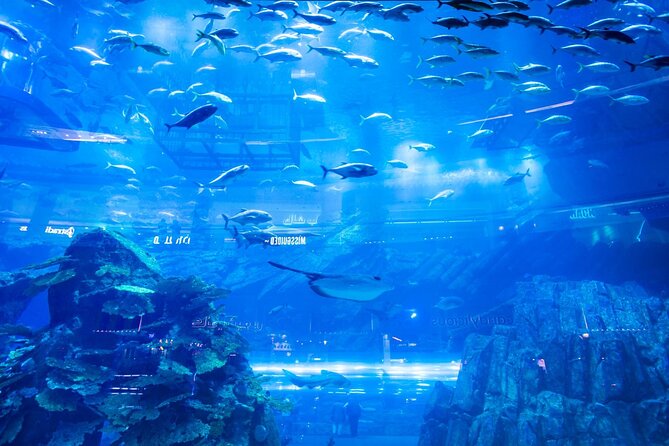 Dubai Mall Aquarium with Penguin Cove + Skyview Ticket - Timing, access, and ticket care