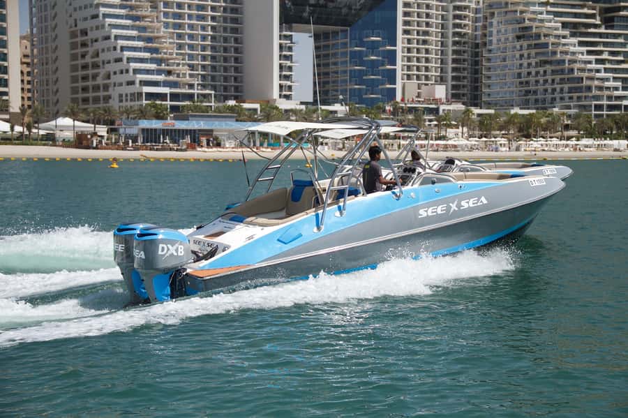 Dubai: Marina Private Boat Tour & Palm Jumeirah Sightseeing - What this Dubai boat trip really gives you