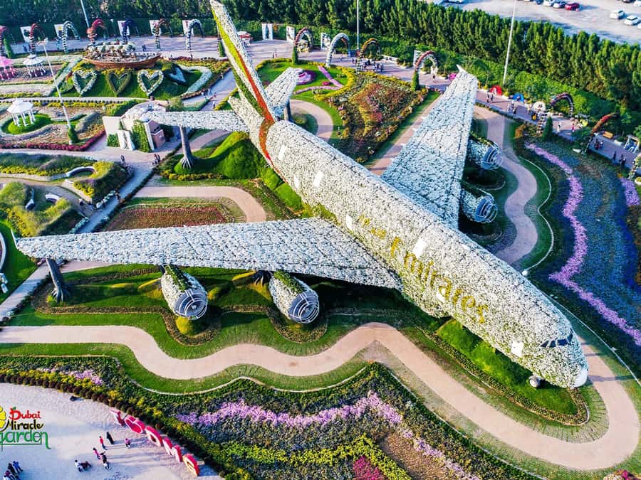 Dubai: Miracle Garden Entry Ticket with Hotel Transfer - A flower garden built like a theme park