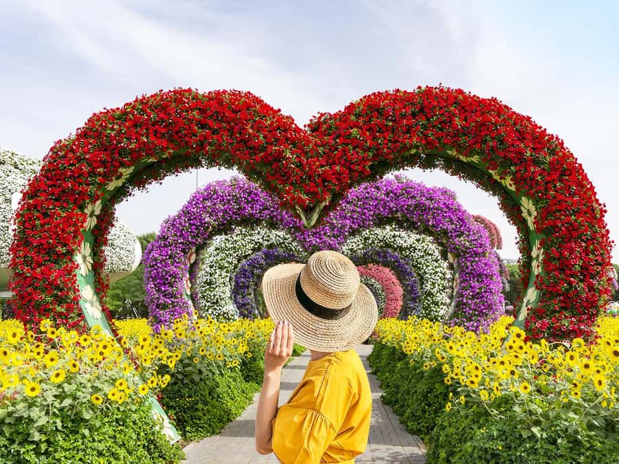 Dubai: Miracle Garden Entry Ticket with Hotel Transfer - Getting there from your Dubai hotel