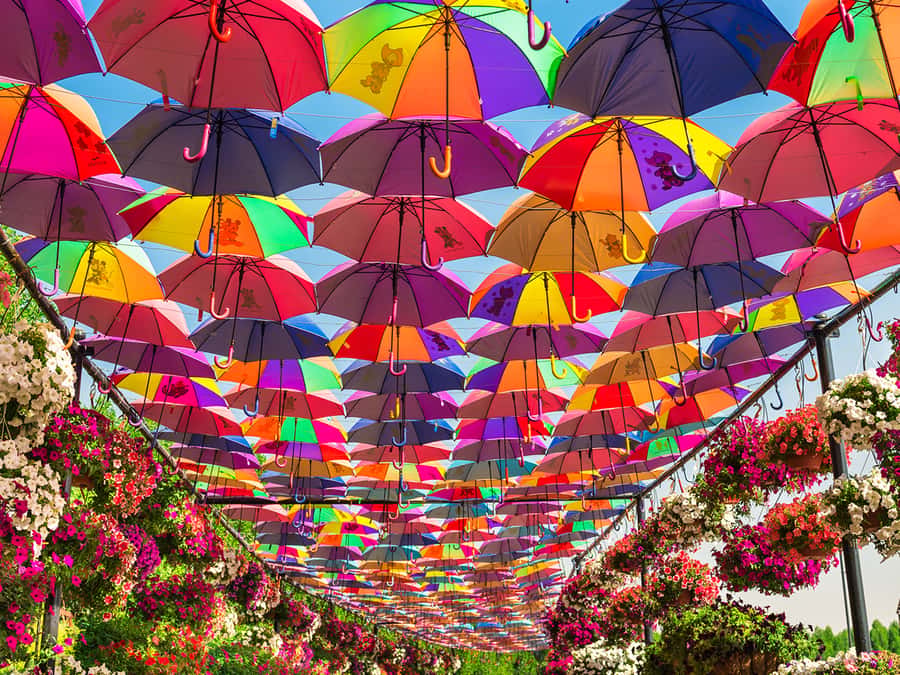 Dubai: Miracle Garden Entry Ticket with Hotel Transfer - Butterfly Garden, performances, and the evening change